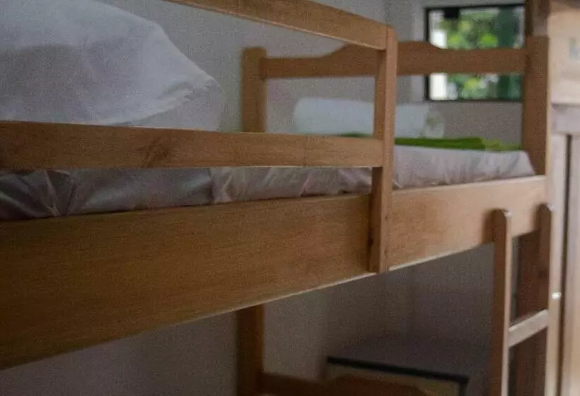 هاستل Helecho S Hostal