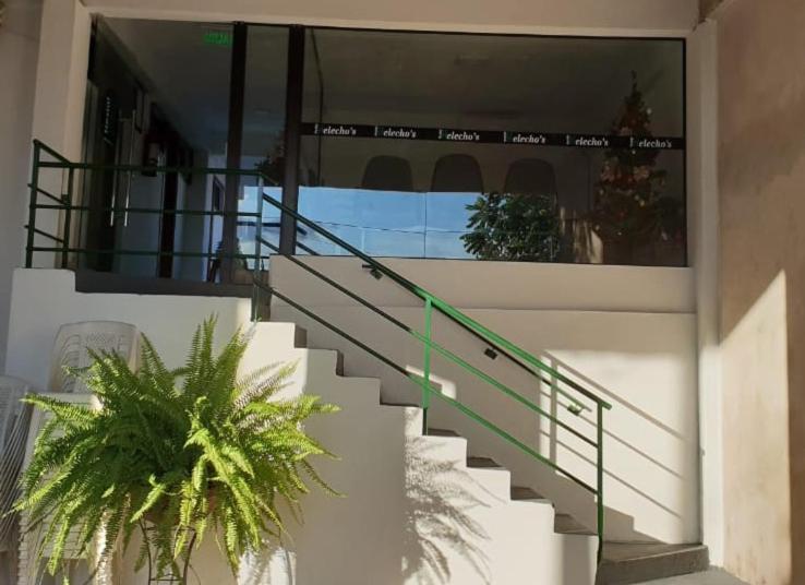 هاستل Helecho S Hostal