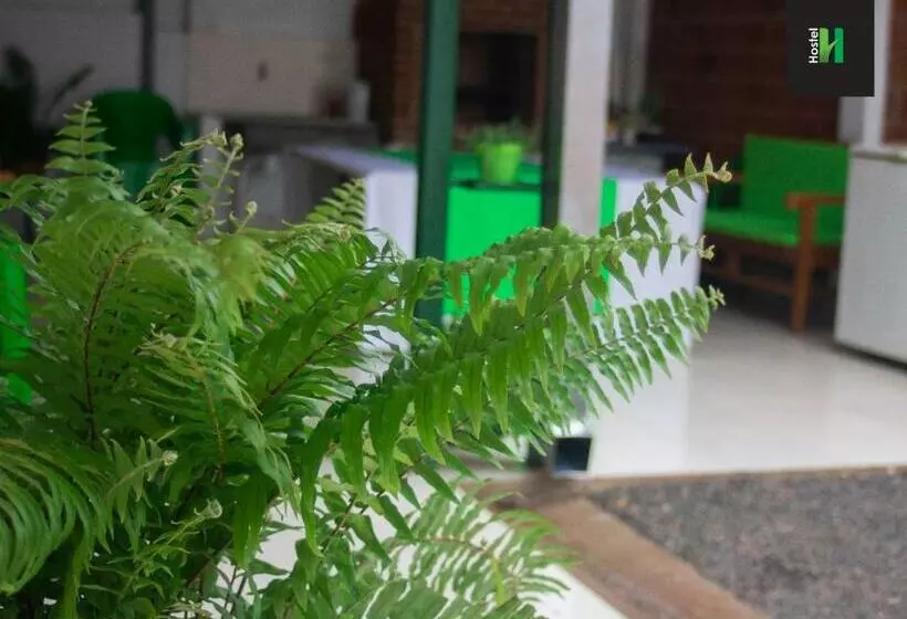 هاستل Helecho S Hostal