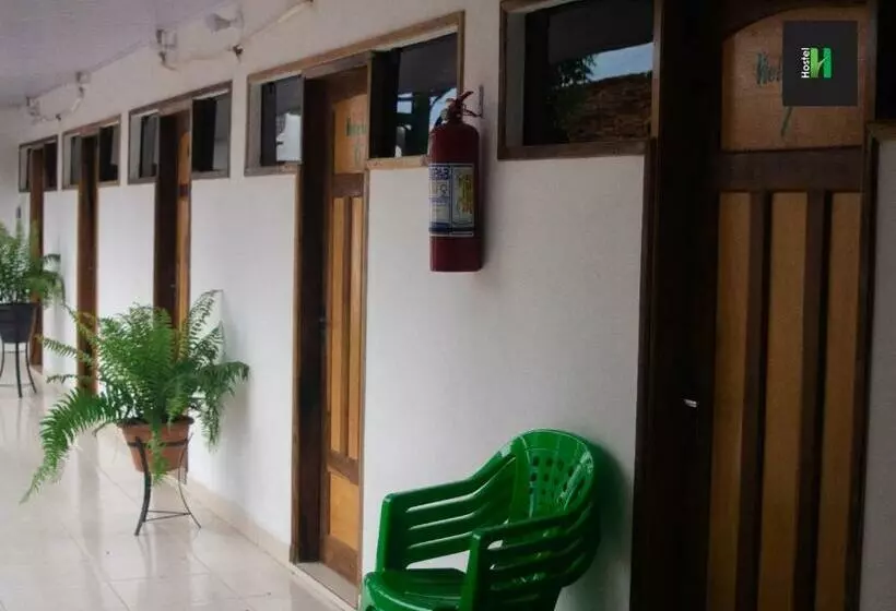 هاستل Helecho S Hostal