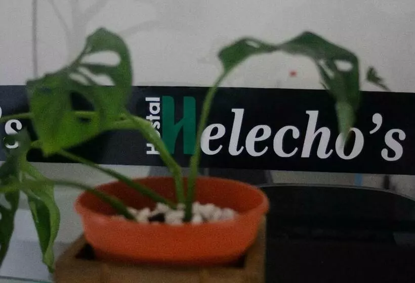 هاستل Helecho S Hostal