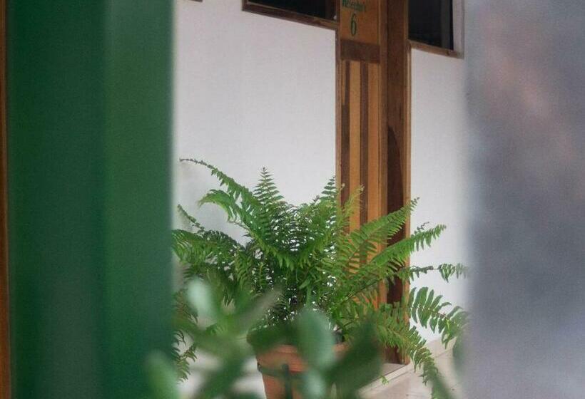 هاستل Helecho S Hostal