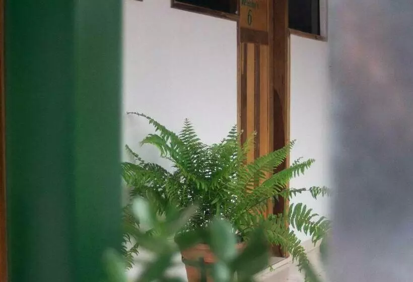 هاستل Helecho S Hostal