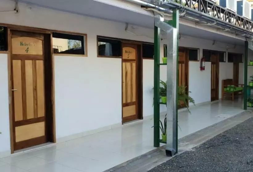 هاستل Helecho S Hostal