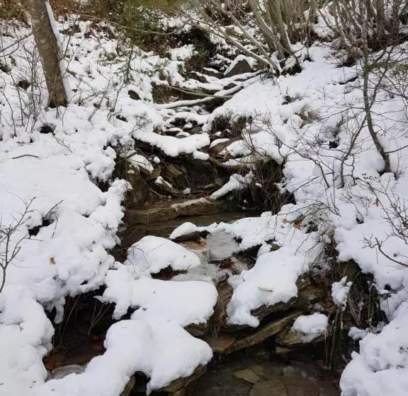 Aamiaismajoitus (B&B) Alla Battuta