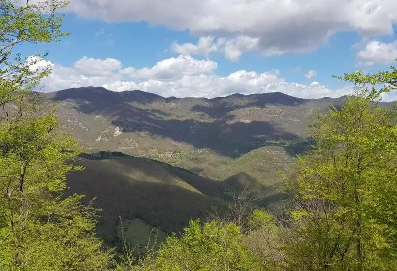 Aamiaismajoitus (B&B) Alla Battuta