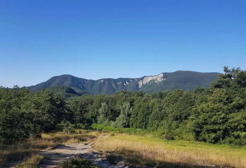 Aamiaismajoitus (B&B) Alla Battuta