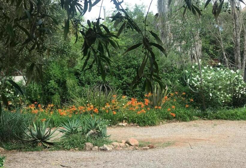 Bed and Breakfast Aloe Klerksdorp