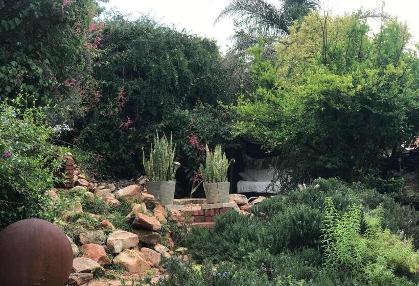 Bed and Breakfast Aloe Klerksdorp