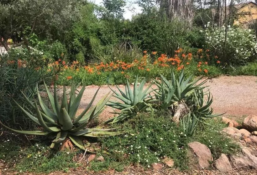 ベッドアンドブレックファースト Aloe Klerksdorp
