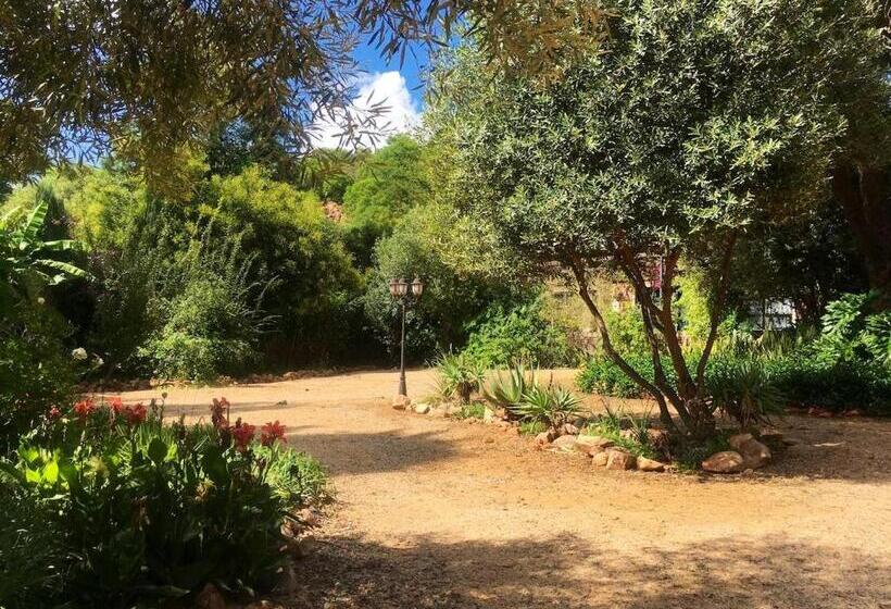 Bed and Breakfast Aloe Klerksdorp