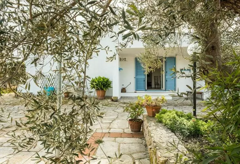 Bed and Breakfast Microborgopasca
