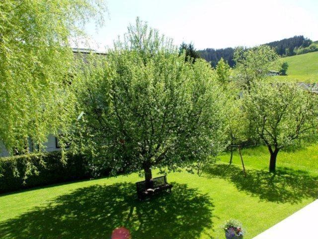 ベッドアンドブレックファースト Privatzimmervermietung Wiederkehr