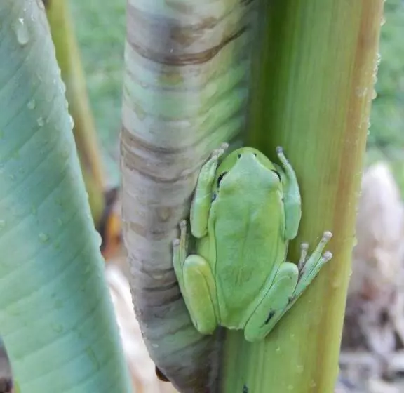 Aamiaismajoitus (B&B) Studio à Deux Au Blagour