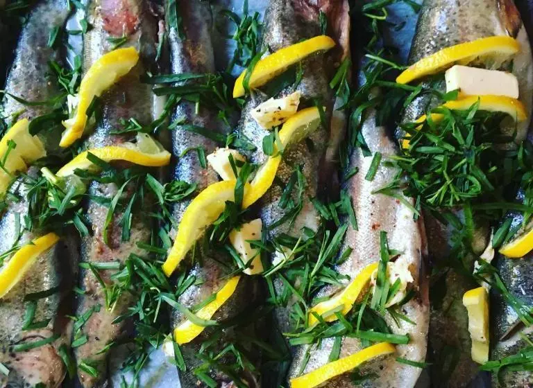 Aamiaismajoitus (B&B) Studio à Deux Au Blagour