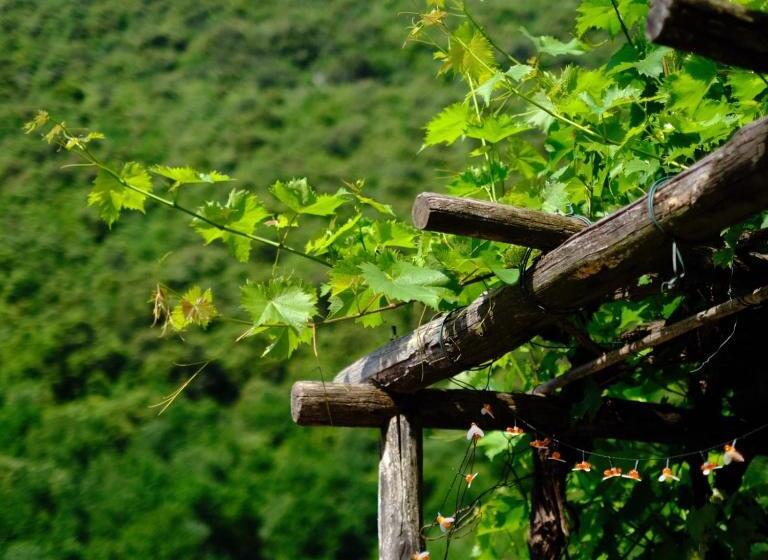 هتل Agriturismo Alveare