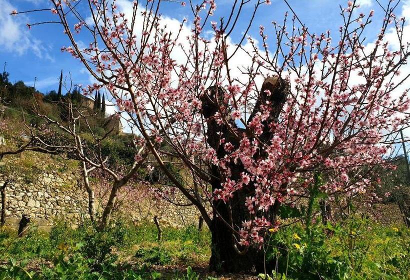 هتل Agriturismo Alveare