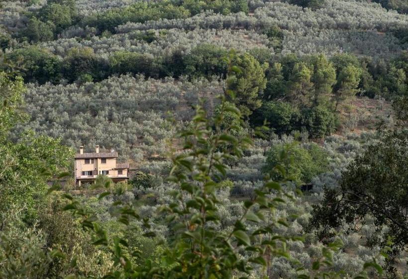 Отель Agriturismo Il Casaletto