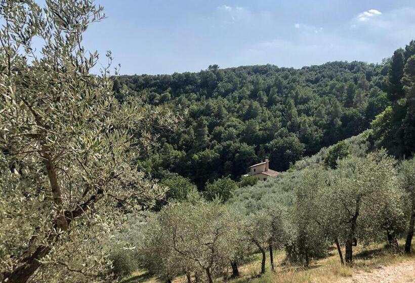 Отель Agriturismo Il Casaletto