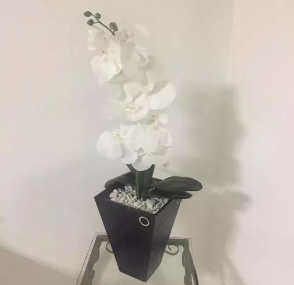 Hotelli Porto Seguro Office