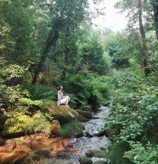 Отель Quinta Da Mata