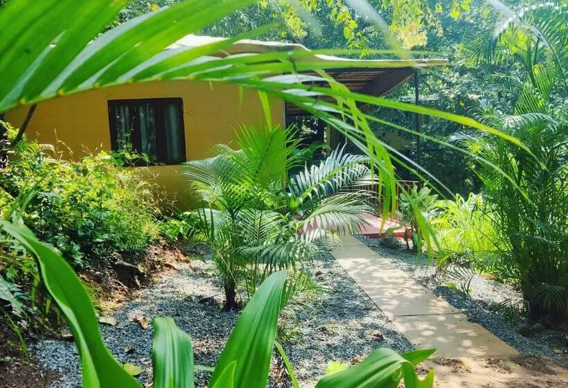 ホテル Samyama Retreat