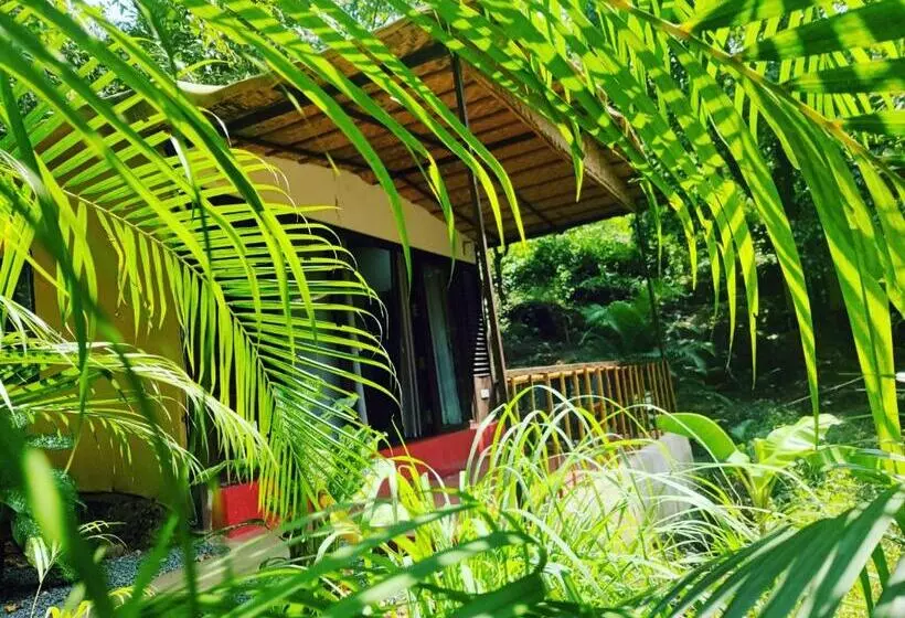 ホテル Samyama Retreat