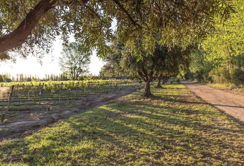 هاستل Finca El Maitén Hotel Boutique