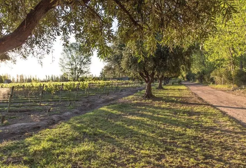 هاستل Finca El Maitén Hotel Boutique