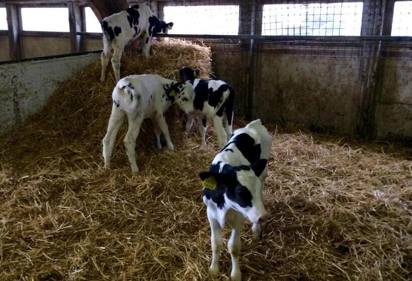 צימר Boerengastenverblijf De Kromme Rijn