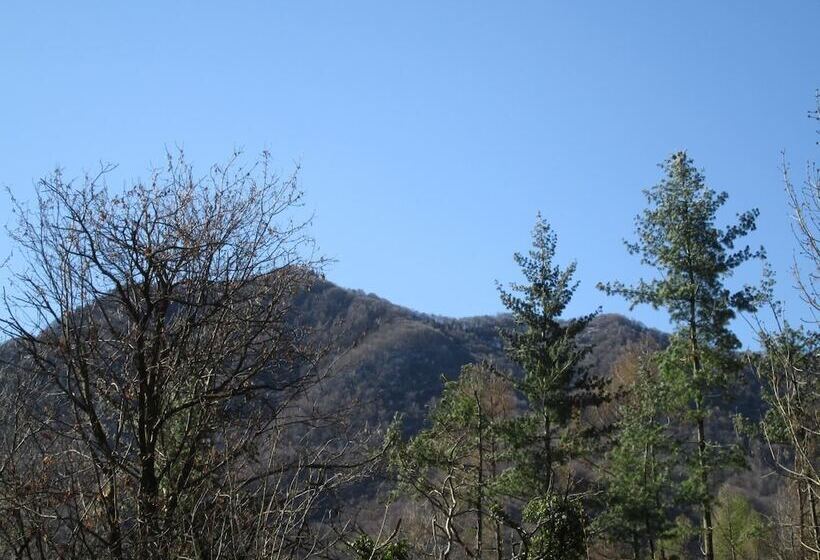 住宿加早餐  La Casa Del Borgo