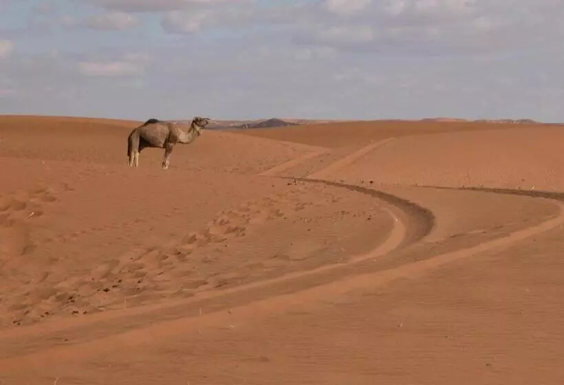 تختخواب و صبحانه Le Drom Blanc