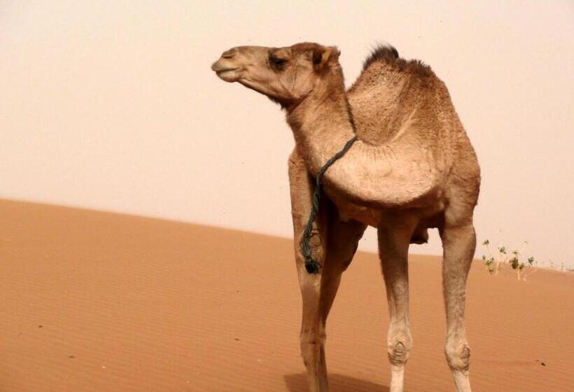 민박 Le Drom Blanc