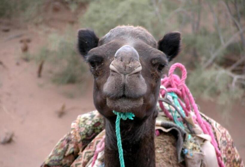 민박 Le Drom Blanc