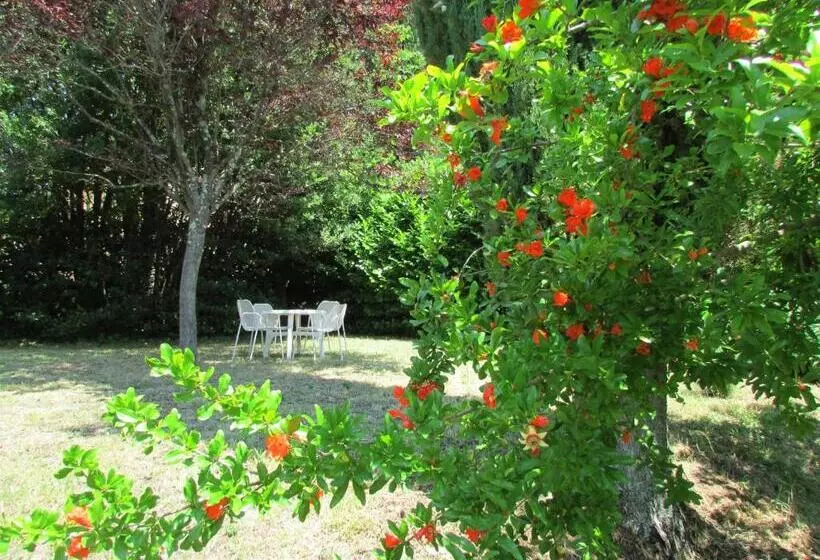 ホテル Agriturismo Dea