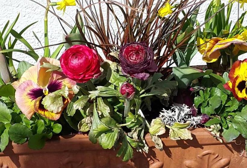 Отель Ferienwohnungen Kuentnerhof