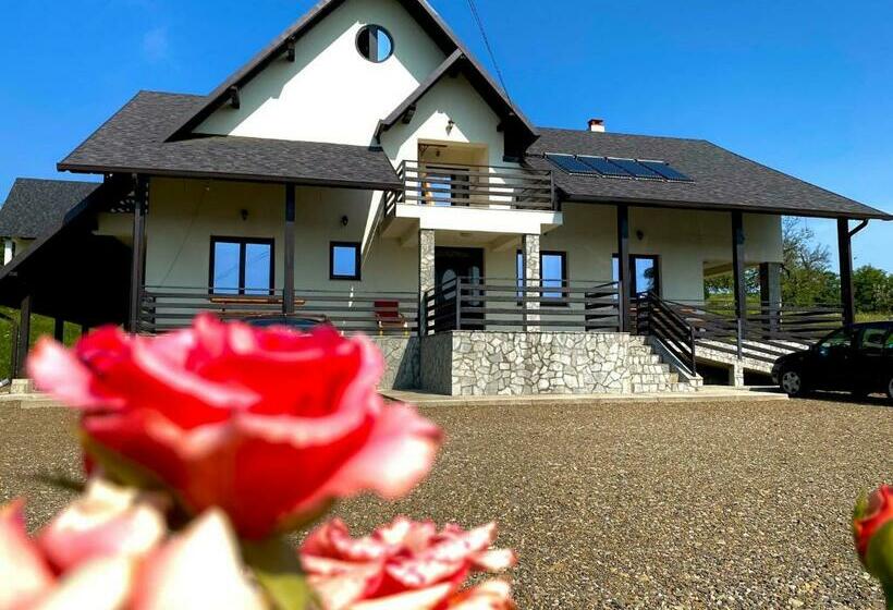 פנסיון Casa Bucovineana