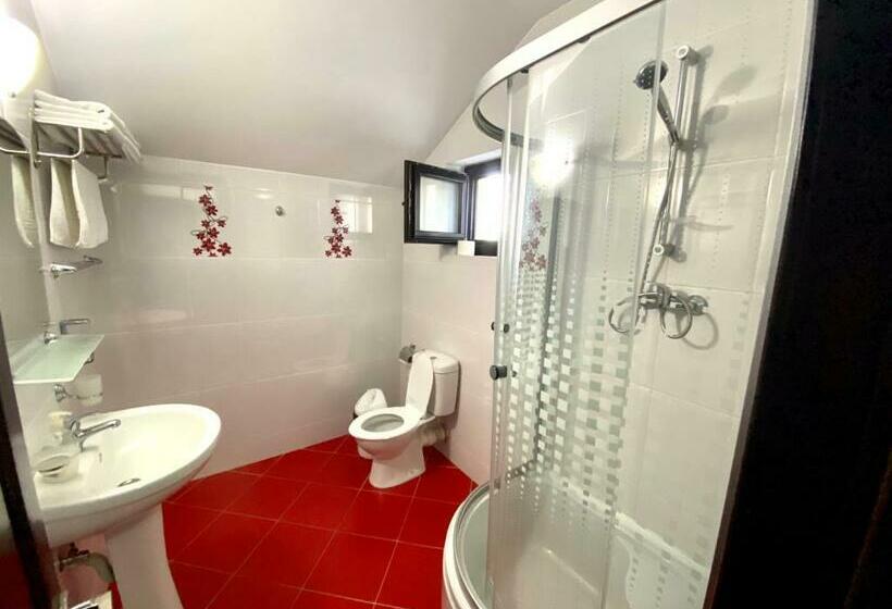 פנסיון Casa Bucovineana