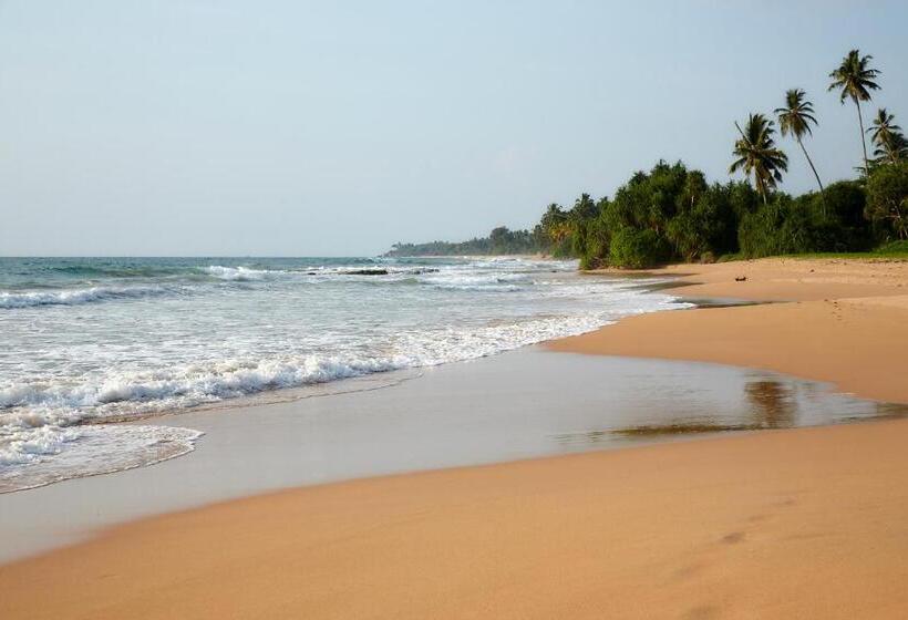 ペンション Happy Man Village