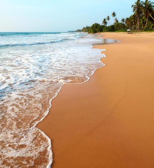 ペンション Happy Man Village