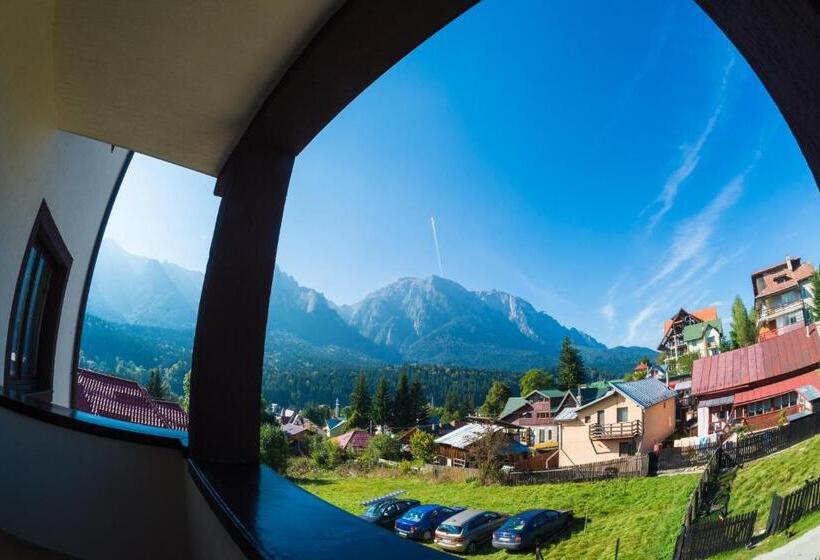 ペンション Vila Cameea