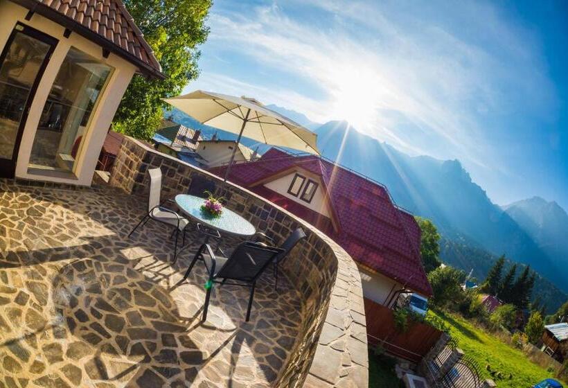 ペンション Vila Cameea