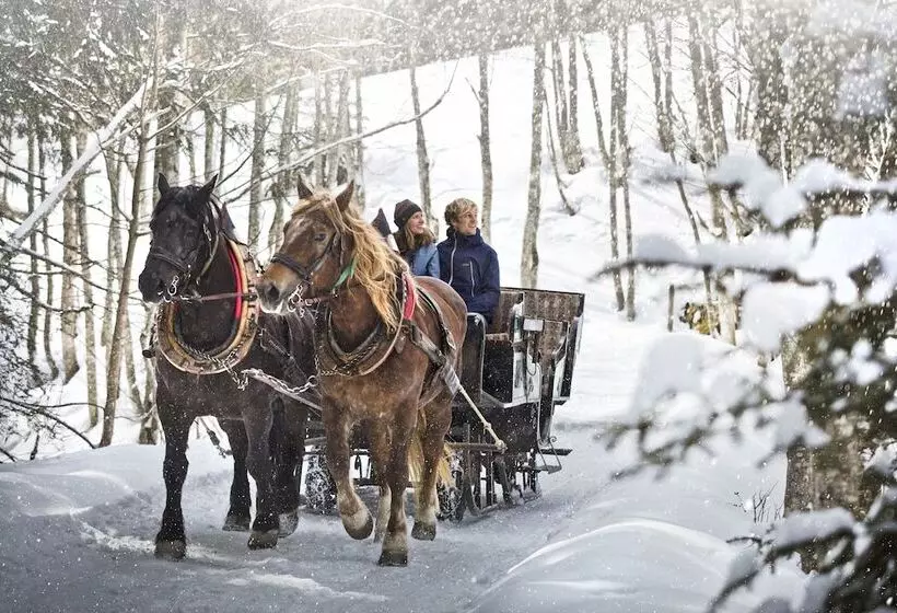 Отель Edelweiss