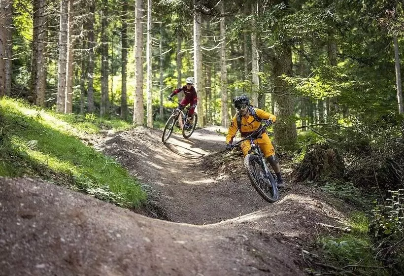 Отель Edelweiss