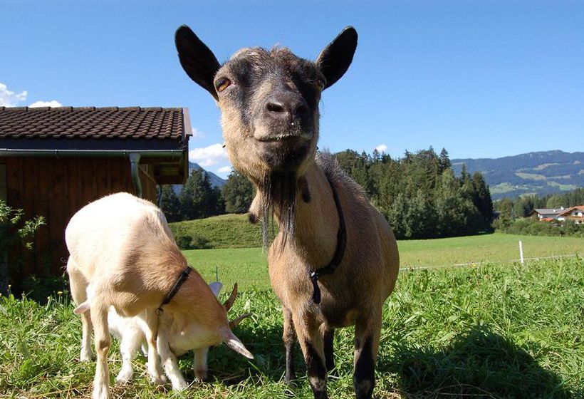 Отель Ferienhof Unterhochst