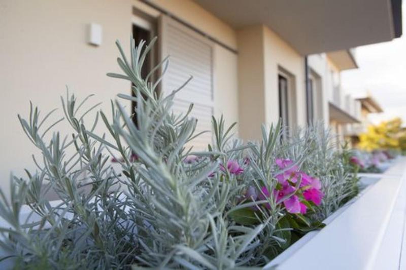 فندق Palazzo Del Garda & Spa