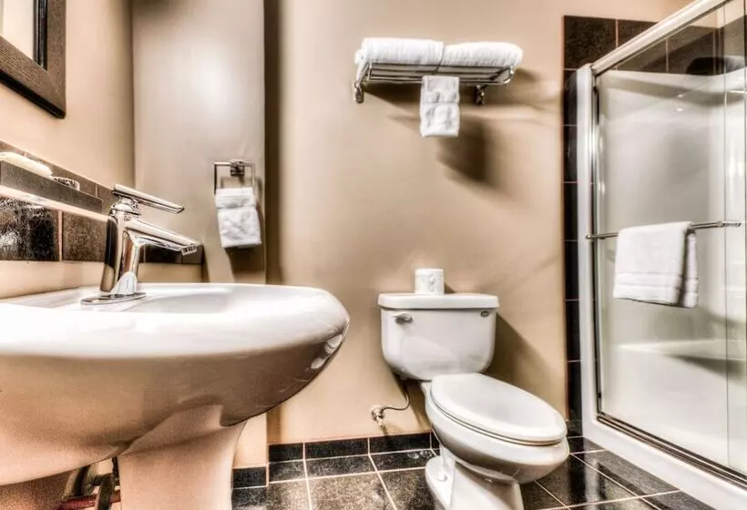 Отель Podollan Inn & Spa  Grande Prairie