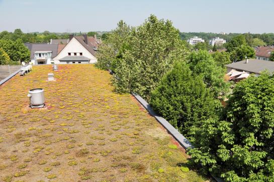 Petul Apart Hotel Stadtgarten