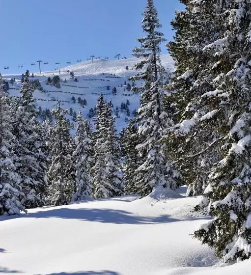 Scol Sporthotel Zillertal