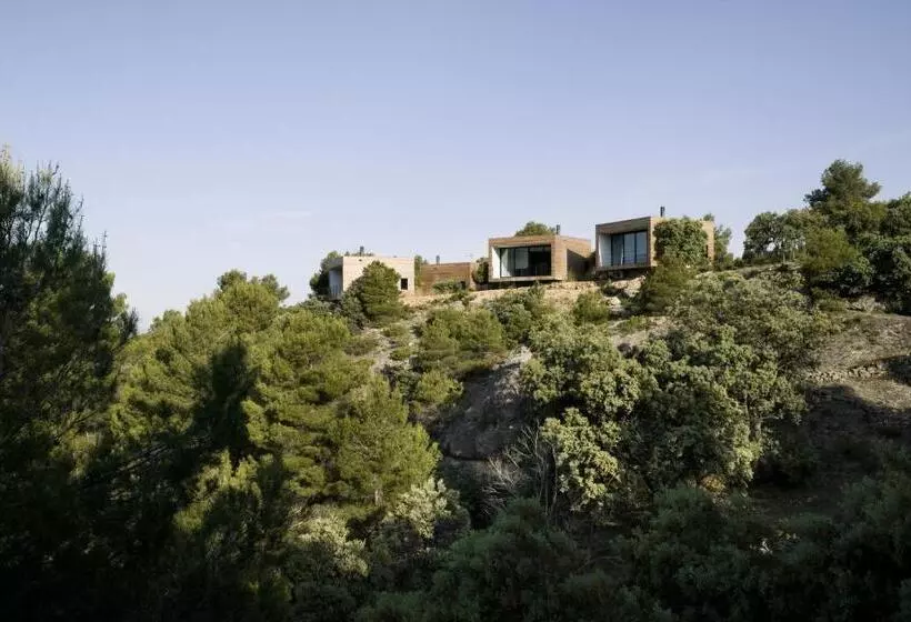 فندق Consolacion